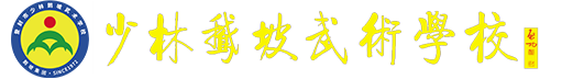 登封市少林鹅坡武术学校官方网站