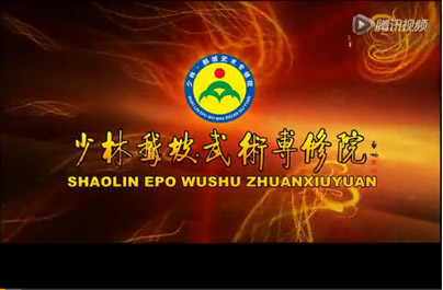 少林鹅坡武术专修院新校落成二十周年庆典大会