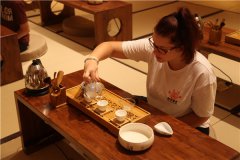 匈牙利青少年团莅临鹅坡武校参观学习